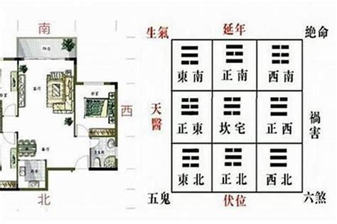 青龙位在哪里|风水宝典：如何确定青龙位？